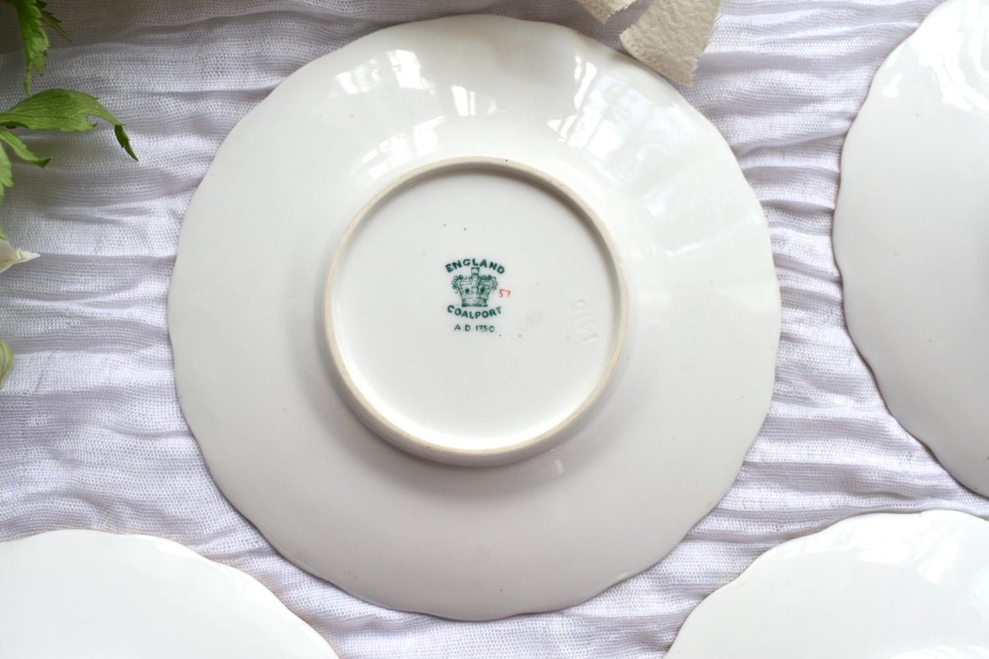コールポート 1906年製 シルバー付きC&S