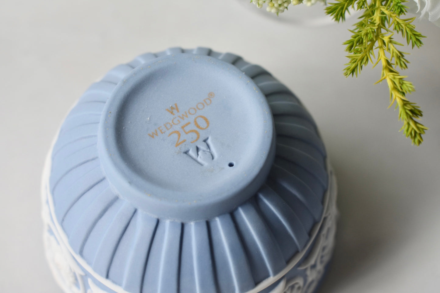 ウエッジウッド　250周年特別デザイン　セット